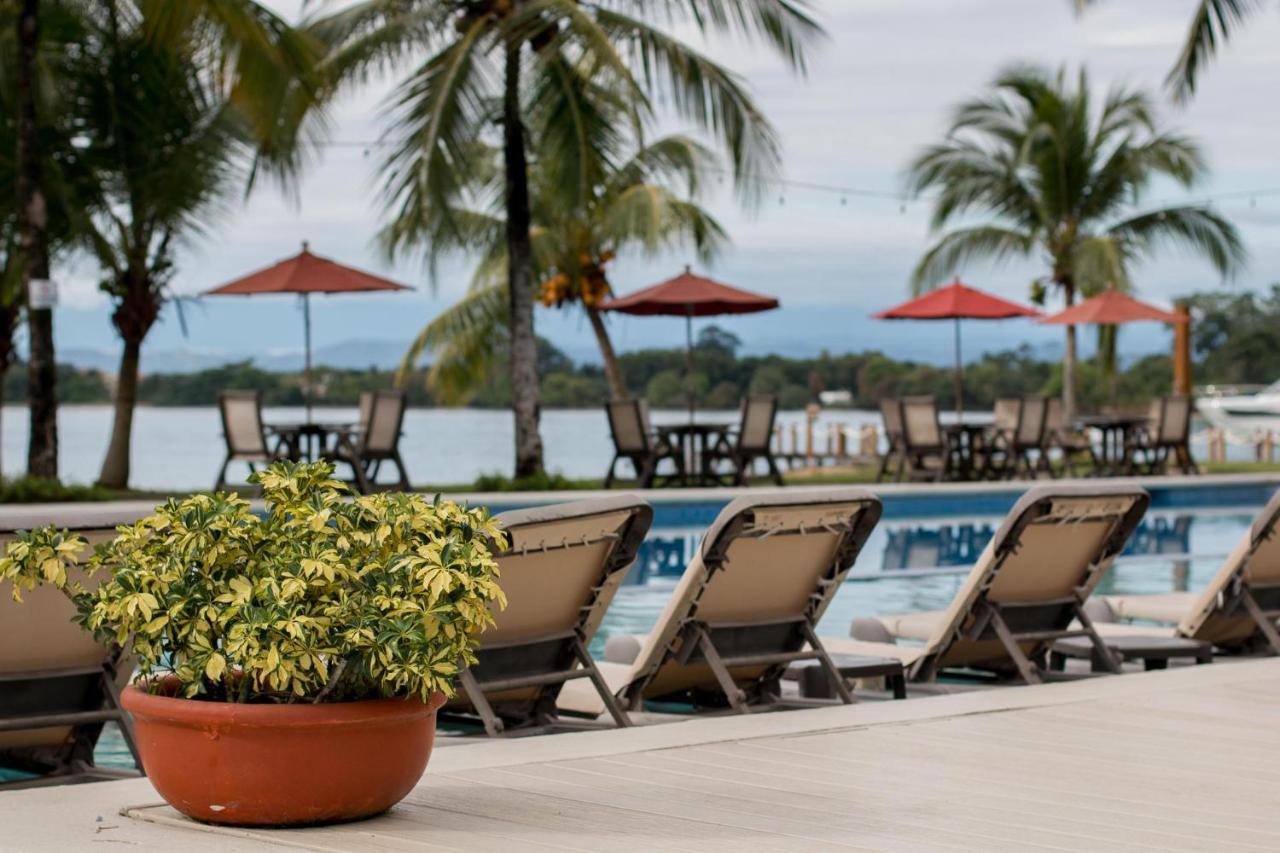 Playa Tortuga Hotel And Beach Resort โบกัสทาวน์ ภายนอก รูปภาพ