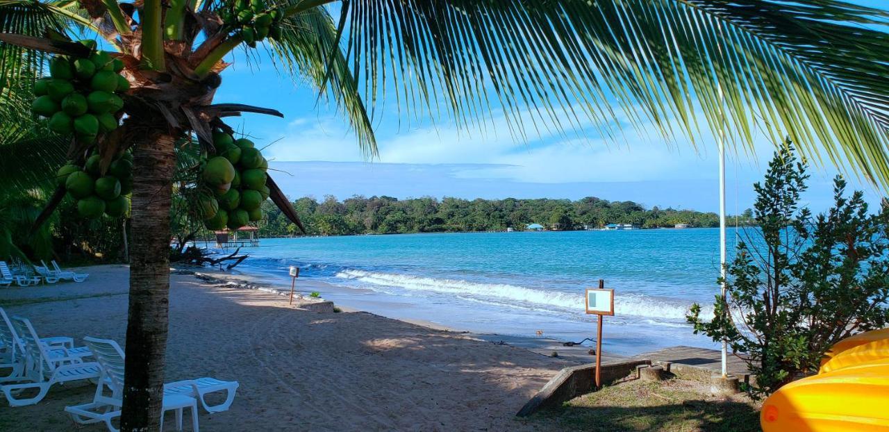 Playa Tortuga Hotel And Beach Resort โบกัสทาวน์ ภายนอก รูปภาพ