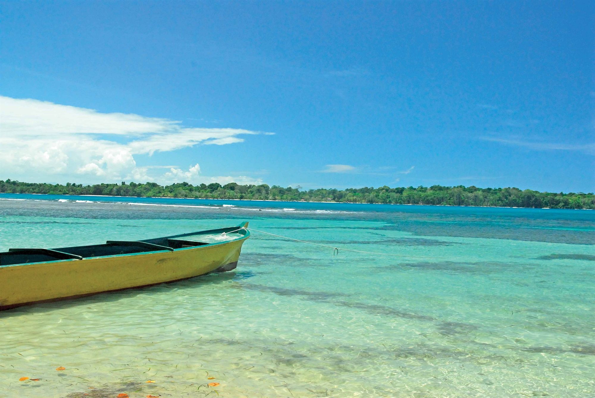 Playa Tortuga Hotel And Beach Resort โบกัสทาวน์ ภายนอก รูปภาพ